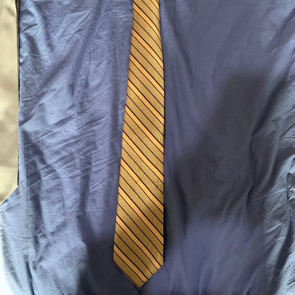 Enro Golden Striped  Tie